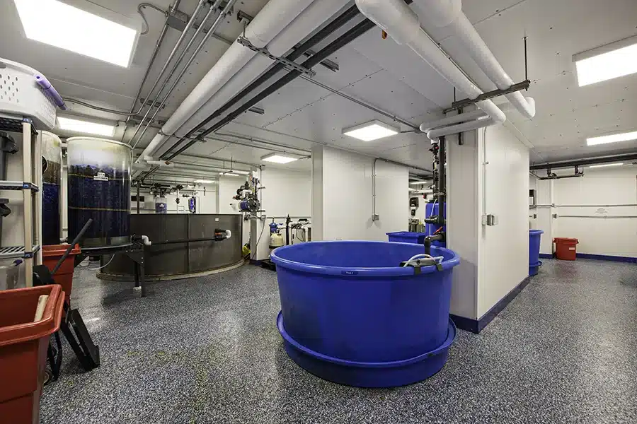 New York Aquarium Interior