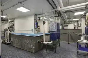 New York Aquarium Cassone