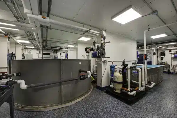 New York Aquarium Project Cassone