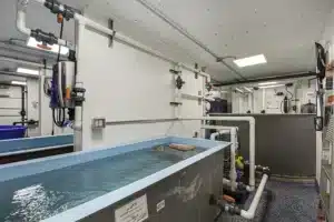 New York Aquarium Water Tank