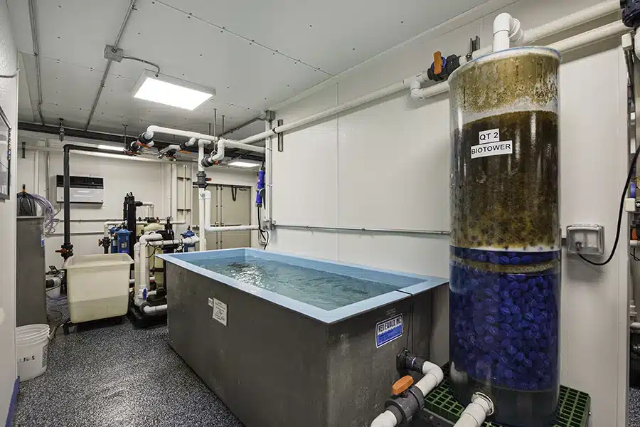 New York Aquarium Tank