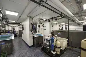 New York Aquarium Pipes