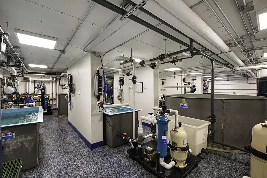 New York Aquarium Pipes