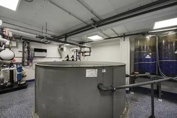 New York Aquarium Tank