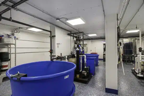 New York Aquarium Interior