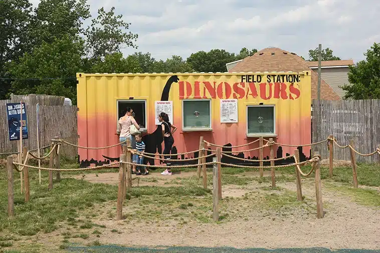 Dinosaur Container