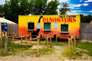 Dinosaurs - Outdoor Exhibitions 4