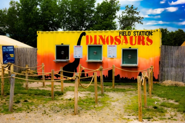 Dinosaurs - Outdoor Exhibitions 4