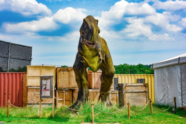 Dinosaurs - Outdoor Exhibitions 1